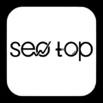 Seo Top Logo