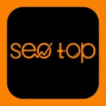 Seo Top Logo