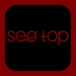 Seo Top Logo