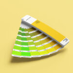 Set of 6 Color Fan Deck Mockups