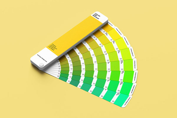 Set of 6 Color Fan Deck Mockups