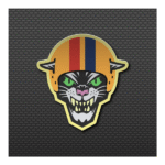 SPEEDCAT