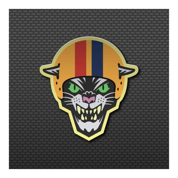 SPEEDCAT