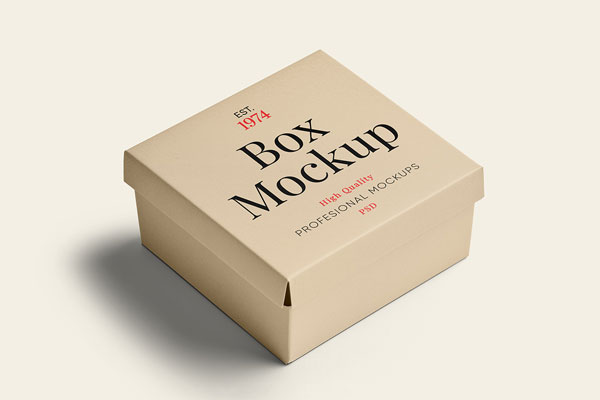 Square Box in Perspective Mockup