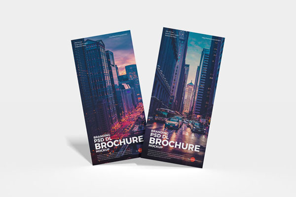 Two Standing DL Brochures Mockup