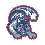 Stony Brook Seawolves 1998 Years Logo