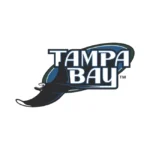 Tampa Bay Devil Rays Logo