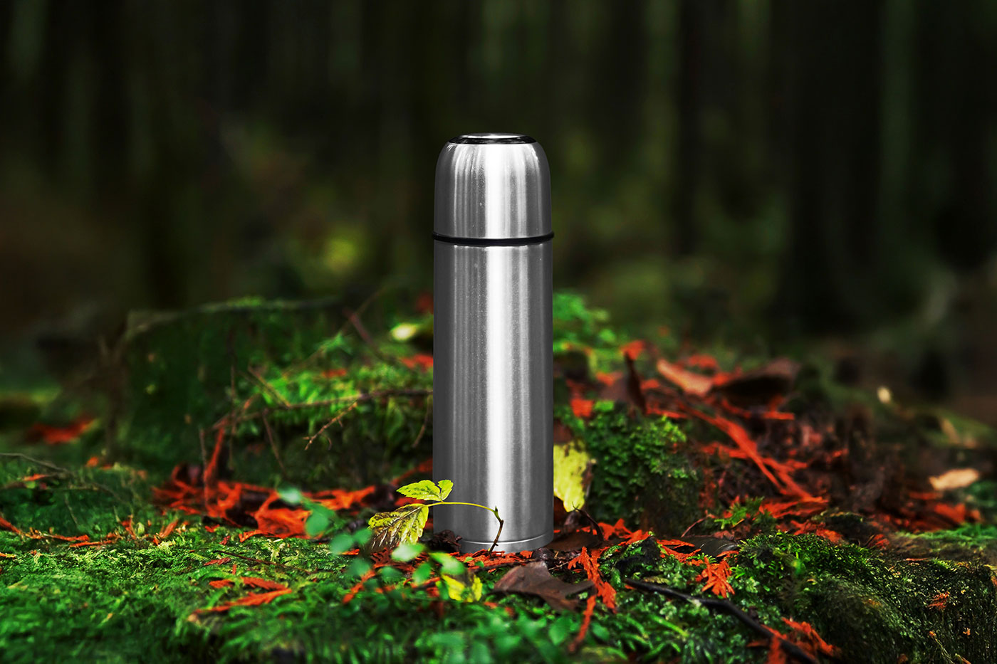 Free Thermos Bottle in Forest Mockup PSD Template
