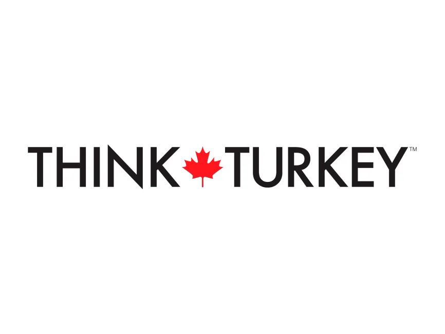 Think Turkey Logo