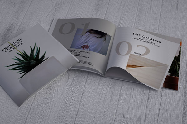 Top Side View of Two Square Catalogs on Wooden Surface