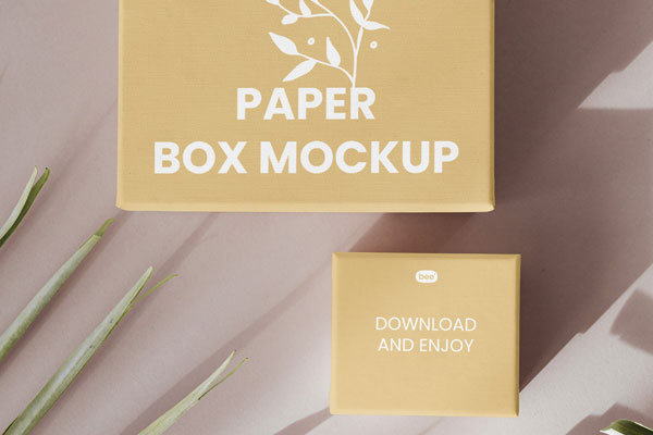 Top Sight of 2 Paper Box Mockup
