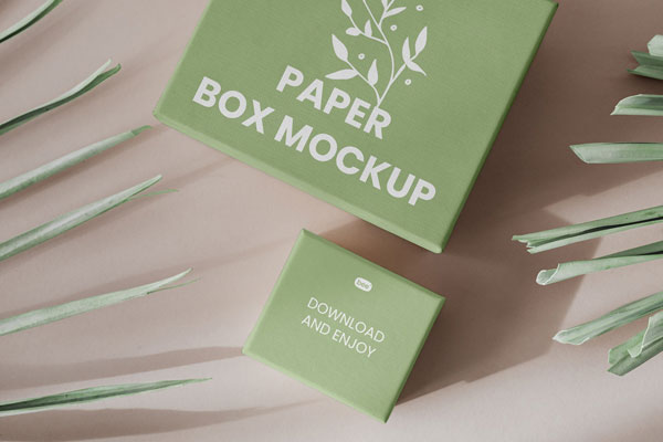 Top Sight of 2 Paper Eco Gift Boxes Mockup