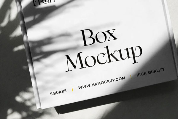 Top Sight of Square Package Mockup