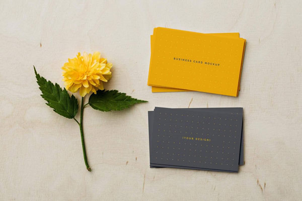 Top View 2 Stacks of Business Cards Mockup with Flower