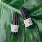 Top View of 2 Bottle Mockup on Large Leaf