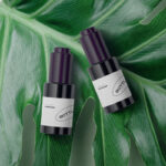 Top View of 2 Bottle Mockup on Large Leaf