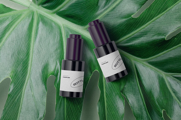 Top View of 2 Bottle Mockup on Large Leaf