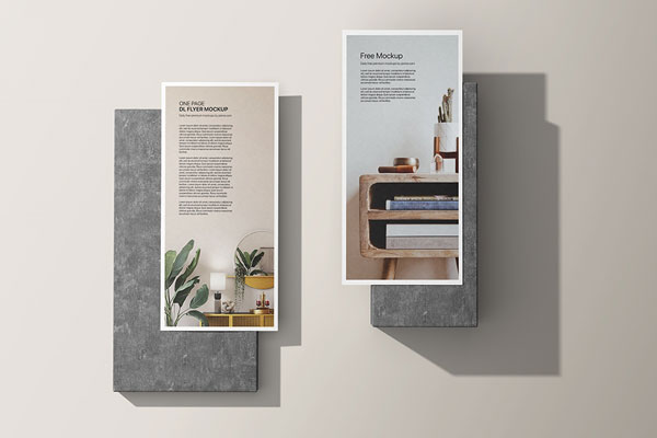Top View of 2 One-Page DL Flyer Mockup