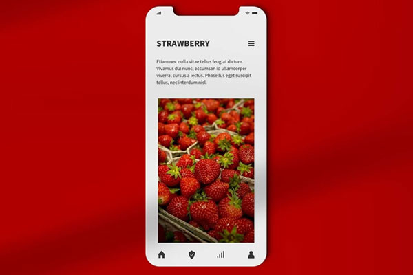 Top View of a Smartphone Display Mockup