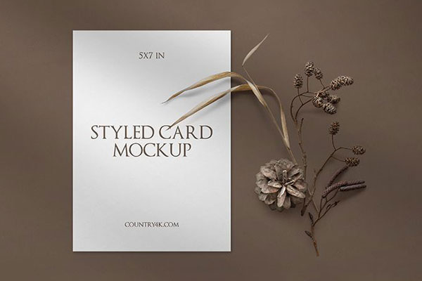 Top View of a Styled Card Mockup