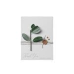Top View of Ficus on a Waxed Envelope Mockup