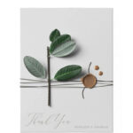 Top View of Ficus on a Waxed Envelope Mockup