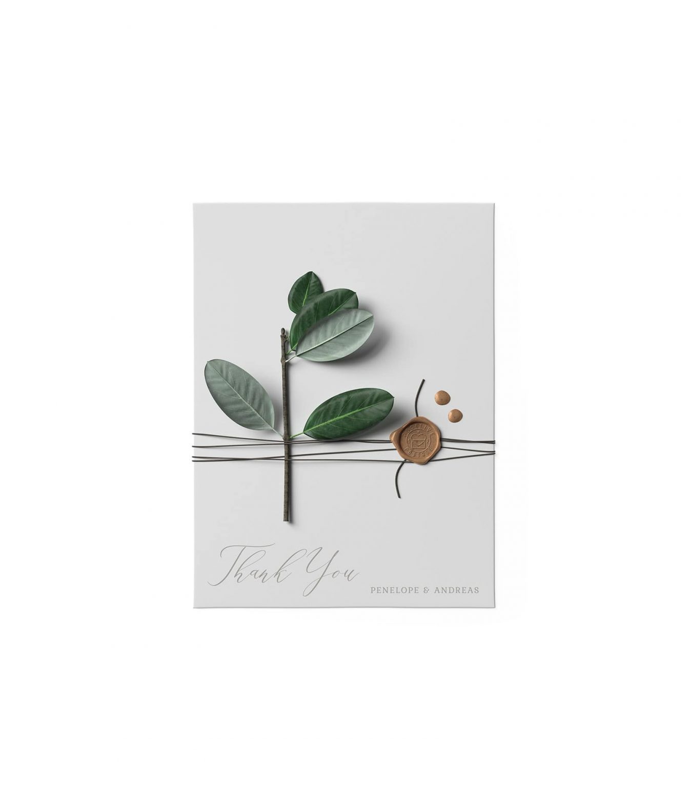 Top View of Ficus on a Waxed Envelope Mockup FREE PSD