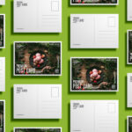Top View of Grid Postcard Mockup