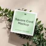 Top View of Mini Square Card Mockup on Plant