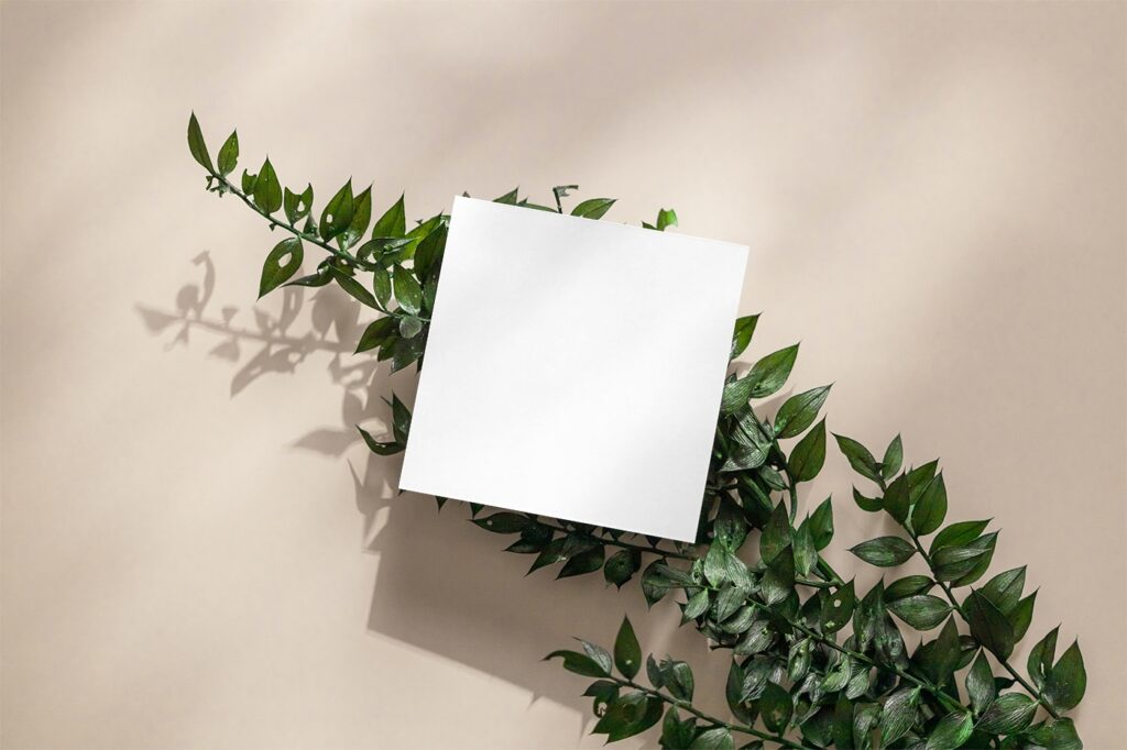 Top View of Mini Square Card Mockup on Plant