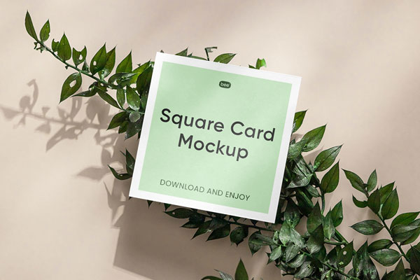 Top View of Mini Square Card Mockup on Plant