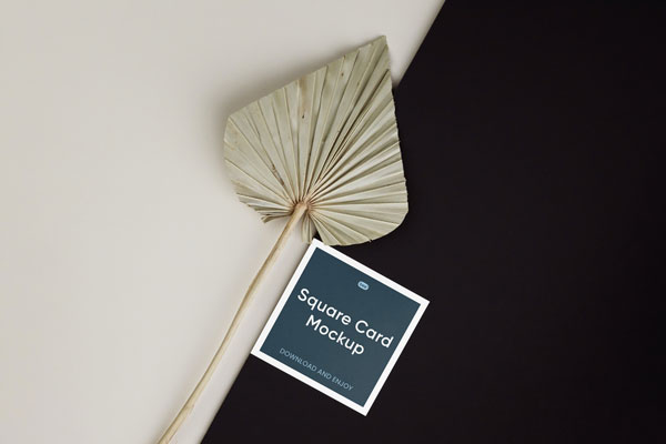 Top View of Square Card Mockup with Leaf