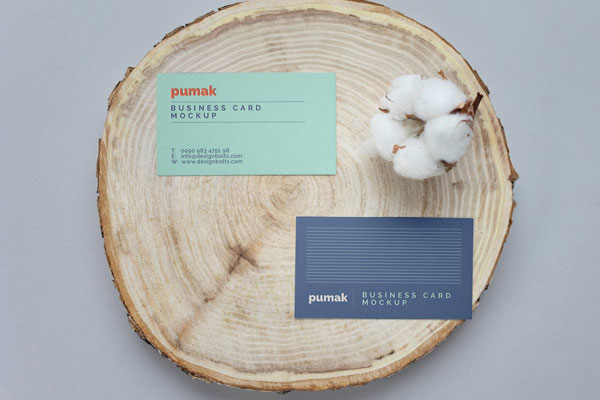 Top View of Two Trendy Business Cards Mockup on Rustic Stump