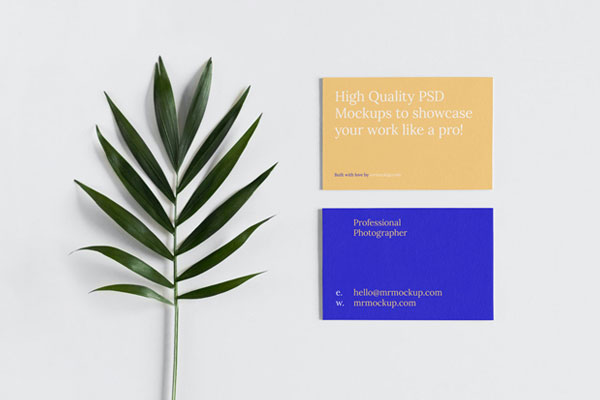 Top Vision of Business Card Mockup with Leaf