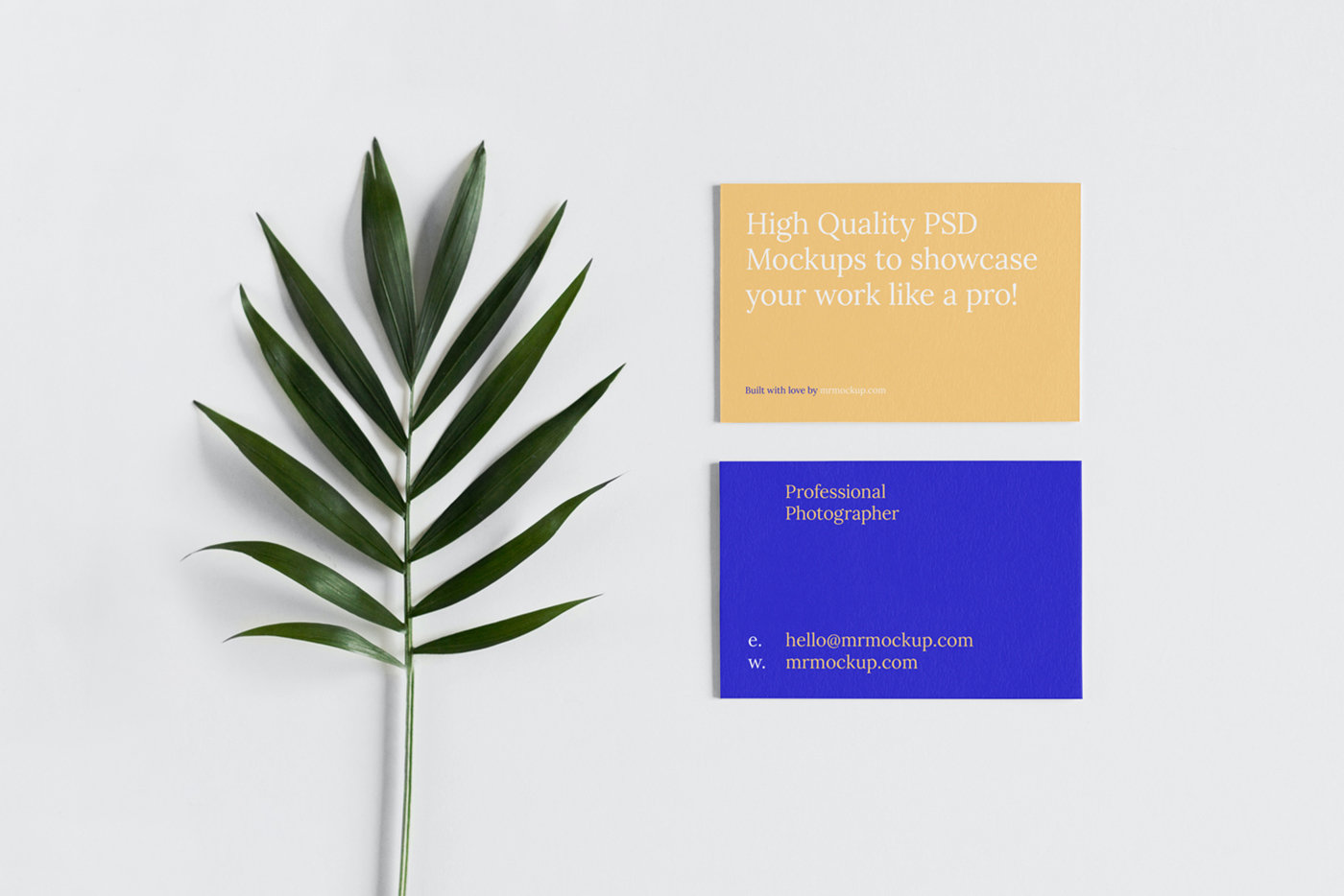 Top Vision of Business Card Mockup with Leaf FREE PSD