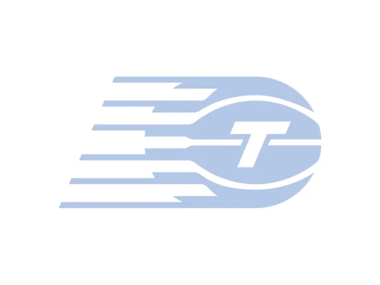 Toronto Tempo Logo
