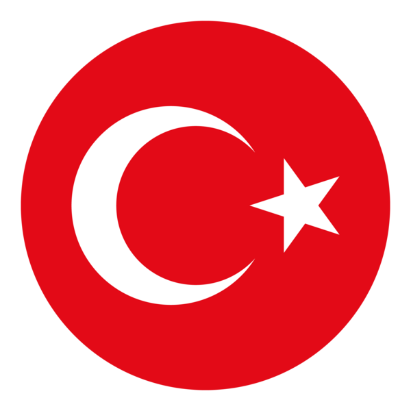 Turkey national football team logo