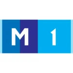 TV Moldova 1 2010 Logo