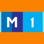 TV Moldova 1 2010 Logo