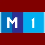 TV Moldova 1 2010 Logo