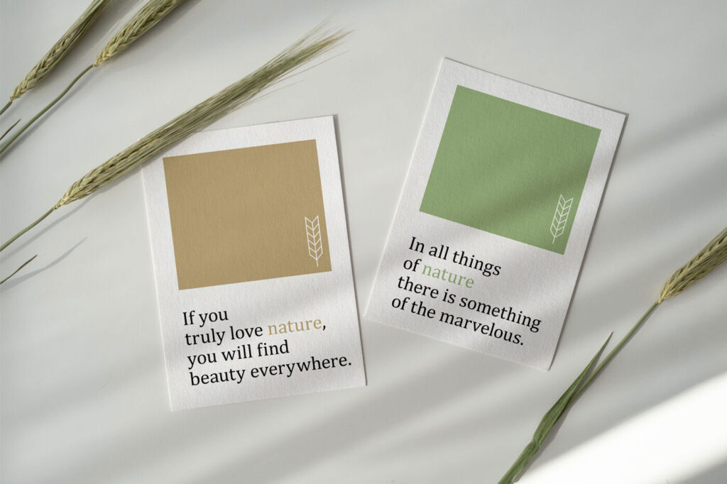 Two Cards in a Scene Decorated with Wheat Flowers Mockup