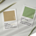 Two Cards in a Scene Decorated with Wheat Flowers Mockup