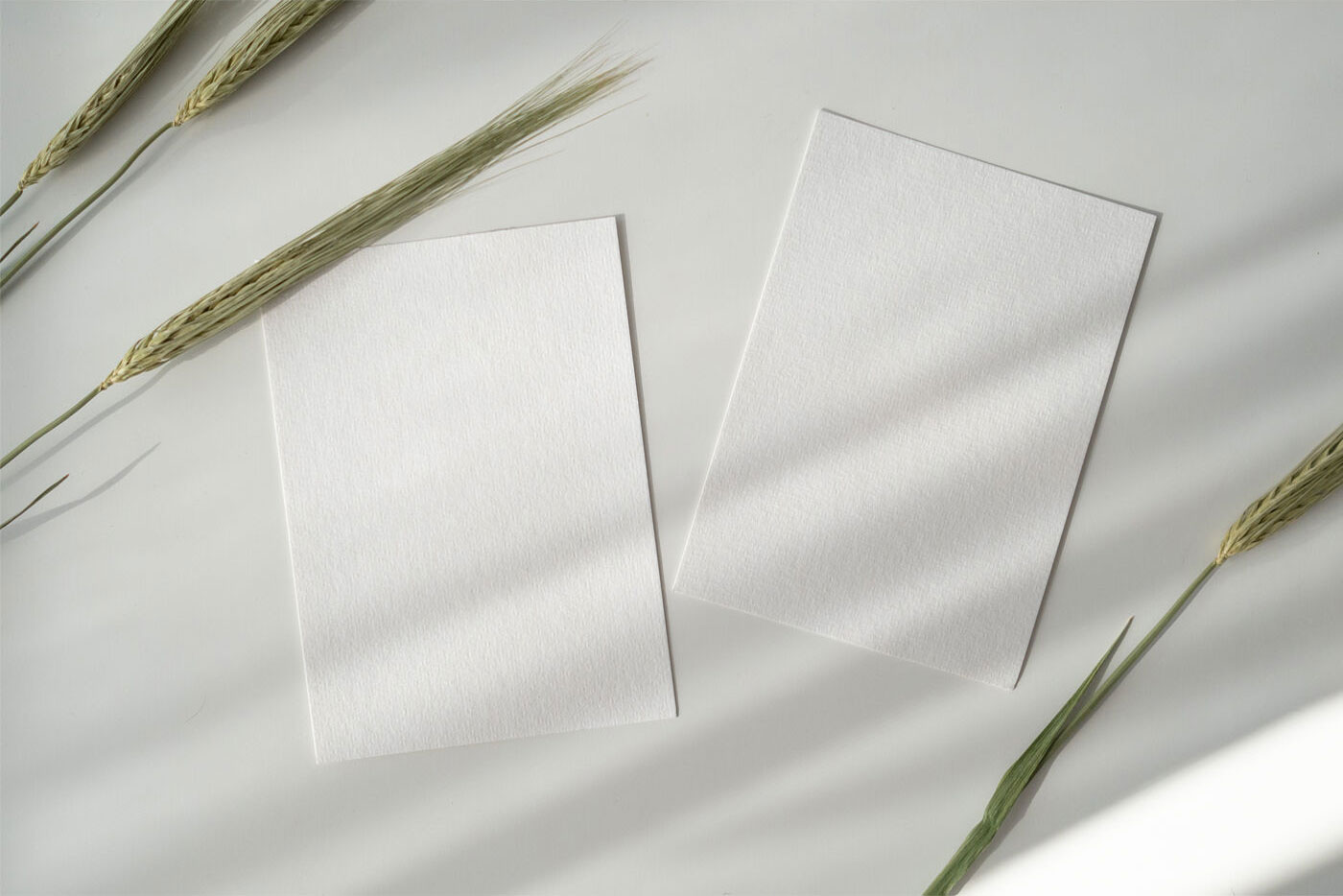 Two Cards in a Scene Decorated with Wheat Flowers Mockup FREE PSD
