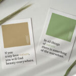 Two Cards in a Scene Decorated with Wheat Flowers Mockup
