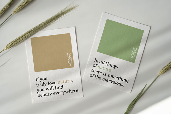 Two Cards in a Scene Decorated with Wheat Flowers Mockup