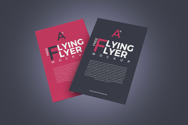Two Flyer Floating Mid Air Mockup