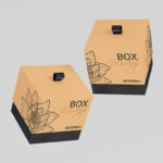 Two Mockups Featuring Perspective View of Standing and Floating Boxes