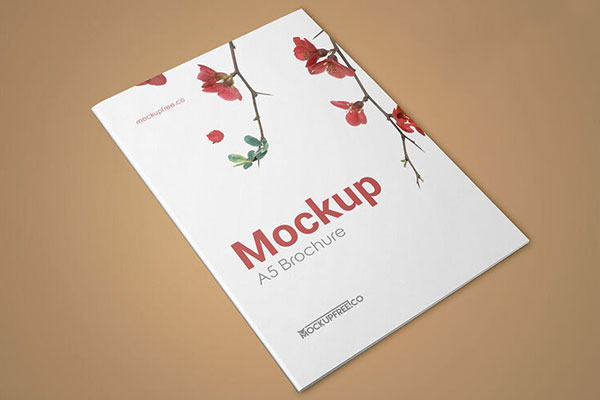 Two Mockups Showcasing A5 Brochure Cover and Inner Pages Outlook
