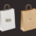 Two Mockups Showing Standing and Laid on the Ground Paper bags