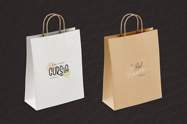 Two Mockups Showing Standing and Laid on the Ground Paper bags